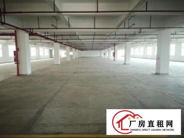  望牛墩标准一楼厂房800或1000㎡出租(配套齐全