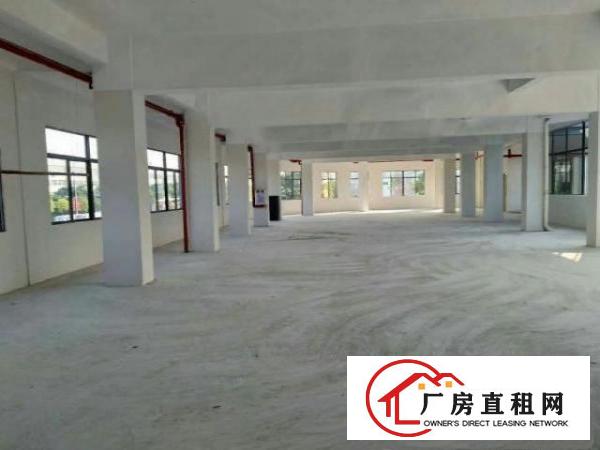  望牛墩一楼厂房出租5001500平方出租