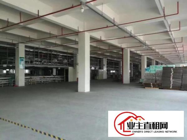 望牛墩独院标准一楼500-2000方厂房招租现成装修水‌‌电