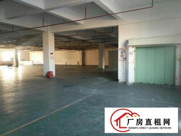  望牛墩工业园楼上厂房分租1500平方电按需，水电现成有办公室