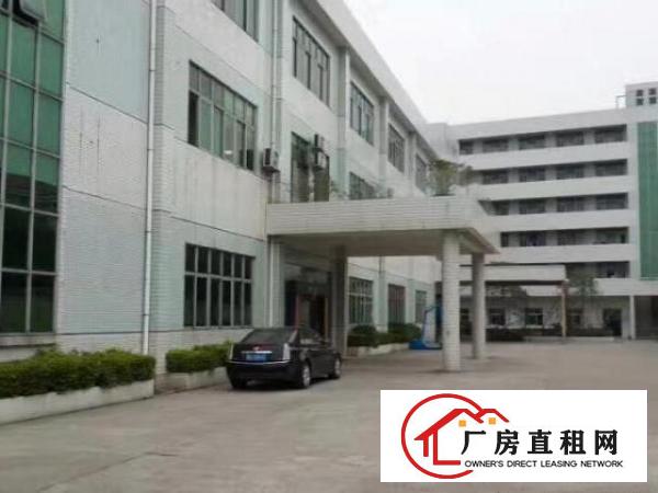  望牛墩独院标准厂房楼上分租500-3000平方现成线路到门口