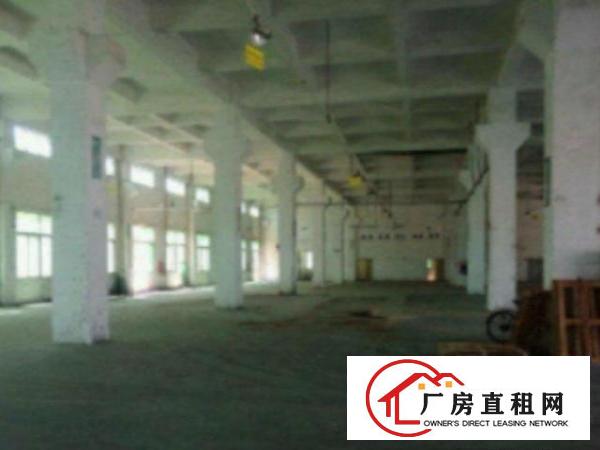  望牛墩一楼厂房出租5001500、2000平方出租消防水电