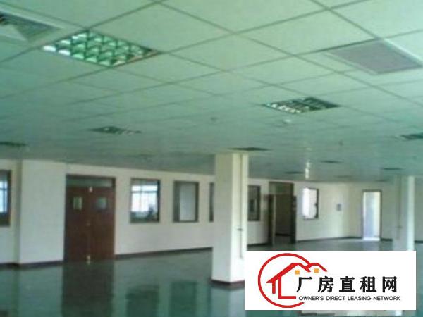  望牛墩工业园厂房分租1000平方低价招租中