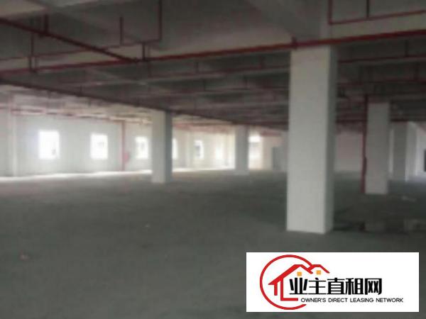 望牛墩标准一楼厂房500或1000平方出租水电消防喷淋齐全
