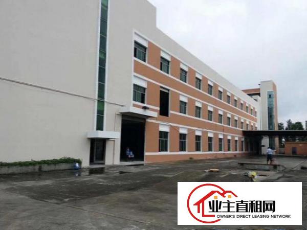 望牛墩工业区一楼3000平方带卸货平台出租空地超大