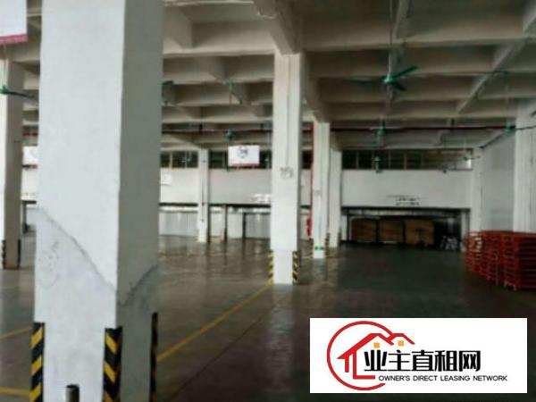  望牛墩新出工业园厂房二楼2000平方出租