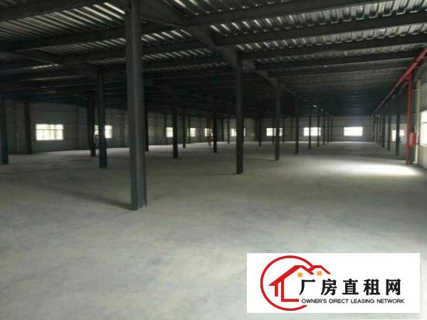  望牛墩3500平方单一层钢结构厂房出租工业用地、可办环评