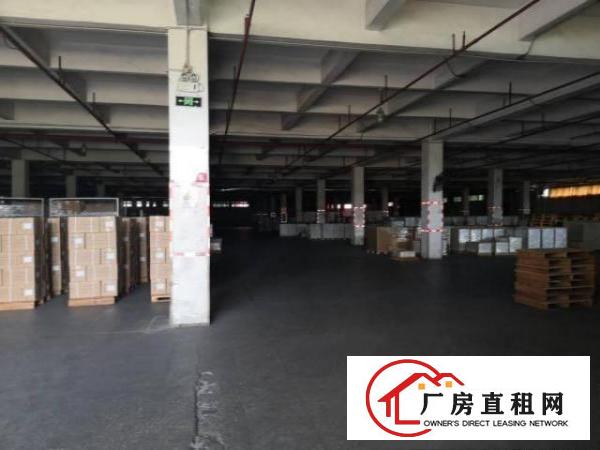  望牛墩高速路口附近，带红本花园式两层标准独院，配套齐全
