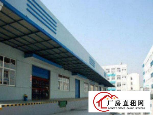  望牛墩工业区新出一楼7米高1000平带豪华办公室装修出租