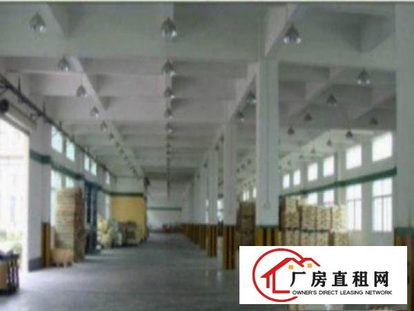  望牛墩工业区新出一楼7米高1000平带豪华办公室装修出租