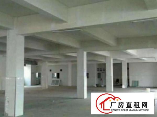  望牛墩环城路外独院标准楼房3层4800平方出租交通方便