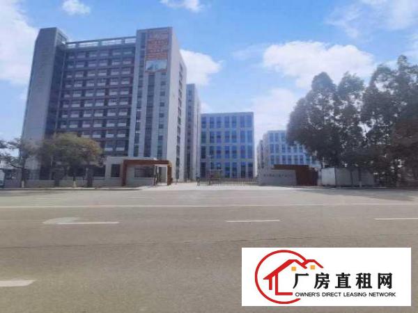  望牛墩政府新建高端高新产业园
