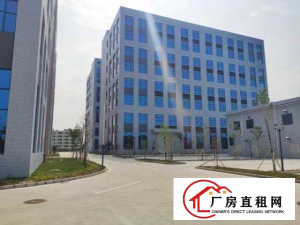  望牛墩政府新建高端高新产业园