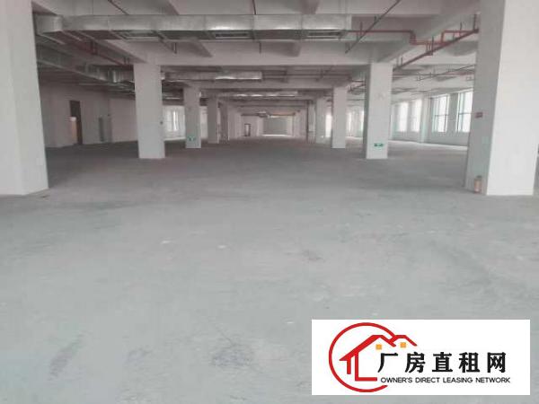  望牛墩政府新建高端高新产业园