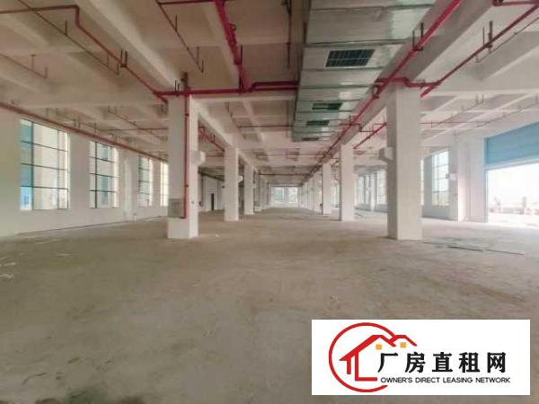  望牛墩政府新建高端高新产业园