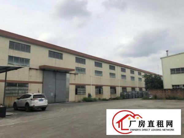  望牛墩独院单一层钢构厂房2900平方出租