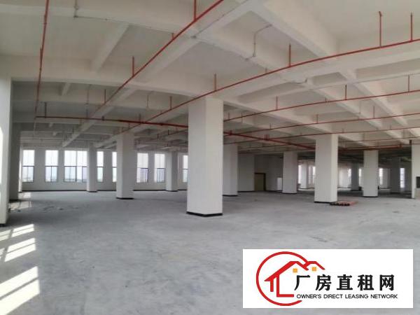  厚街全新厂房出租1000㎡可分租超长免租期