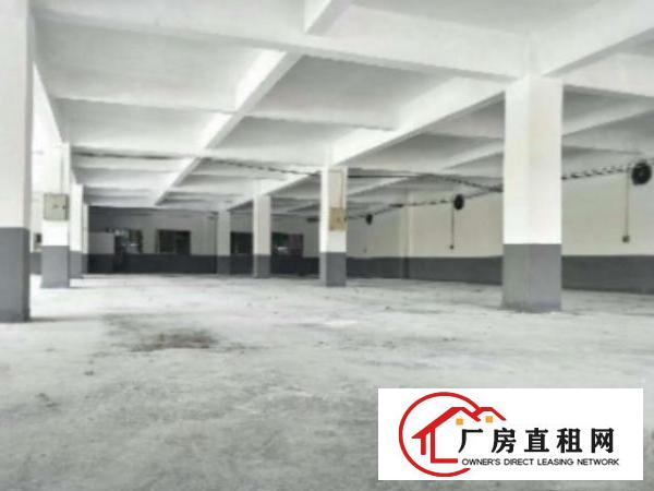  望牛墩独院标准楼房1-4层6500平方出租带电梯配电315