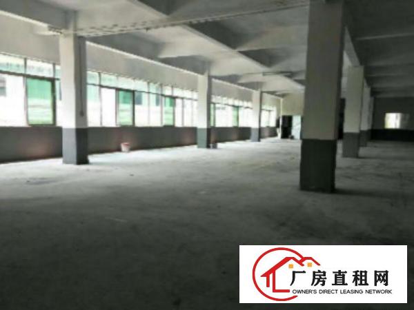  望牛墩独院标准楼房1-4层6500平方出租带电梯配电315