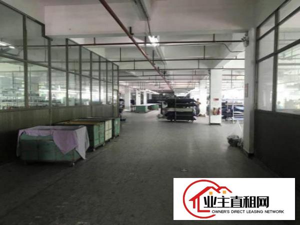  望牛墩标准厂房一楼1200平车间水电齐全现成办公室可办环评