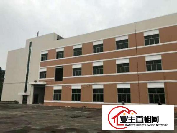  望牛墩独院标准厂房3层12000平方带卸货平台空地超大可分租