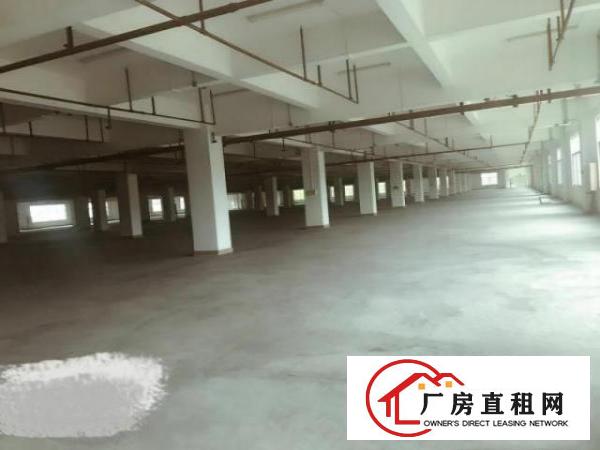  望牛墩工业标准一楼1000平方出租交通方便适合机械、五金塑胶