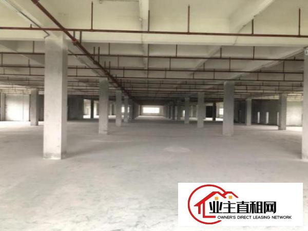  望牛墩工业区一楼6米高2000平带豪华办公室装修适合做五金