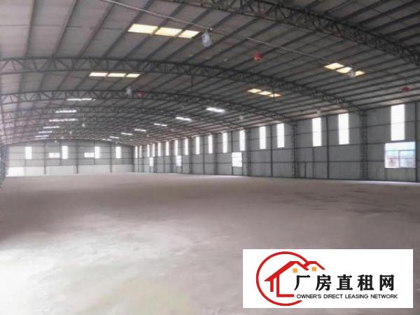  望牛墩标准钢构单一层厂房2400平方出租工业地可办环评