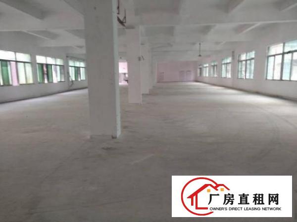  原房东单一层，标准厂房混搭出租