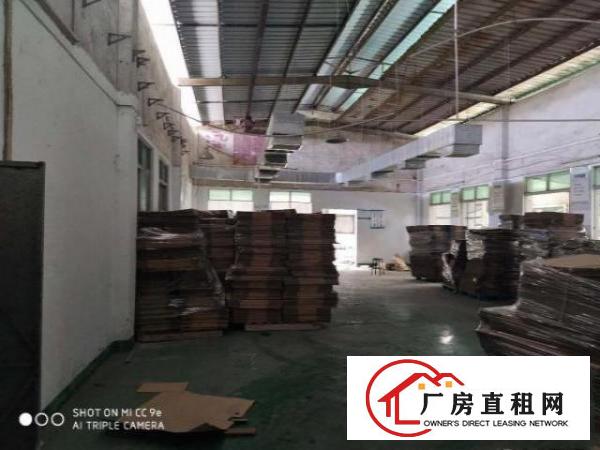  原房东单一层，标准厂房混搭出租