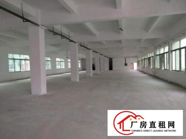  原房东单一层，标准厂房混搭出租