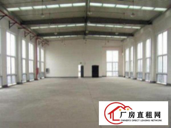  望牛墩环城路边新出1600平方单一层厂房出租