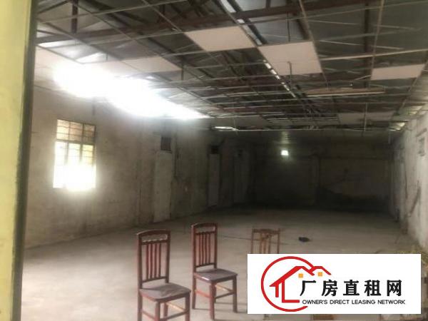  望牛墩独院。厂房分租