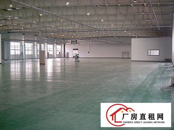  望牛墩新出工业园厂房二楼4000一楼单独卸货平台出租