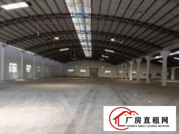  望牛墩环城路边新出3500平方单一层厂房出租水电配套设施齐全