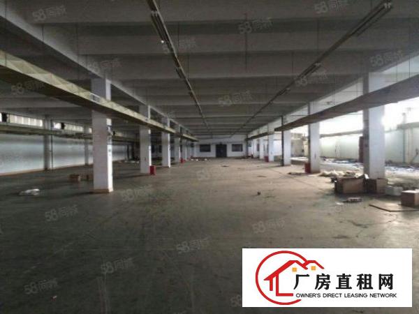  望牛墩独院标准楼层厂房4000方出租，空地大。