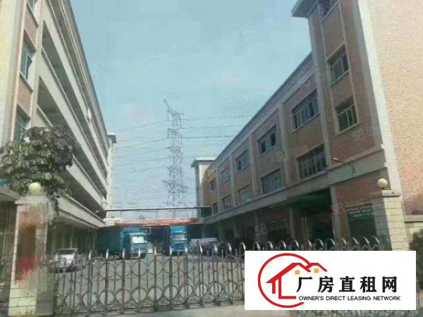  望牛墩独院标准楼层厂房4000方出租，空地大。