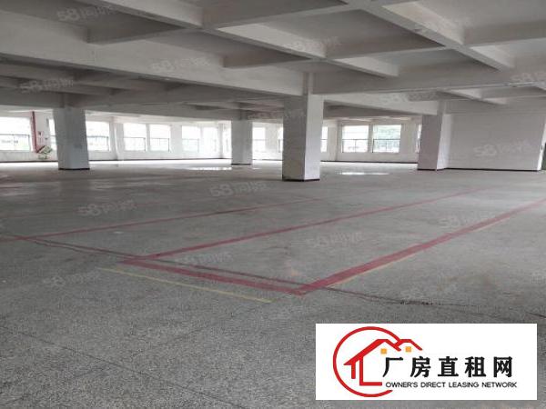  望牛墩新出两层厂房1600平方，现成装修，形象好，空地大