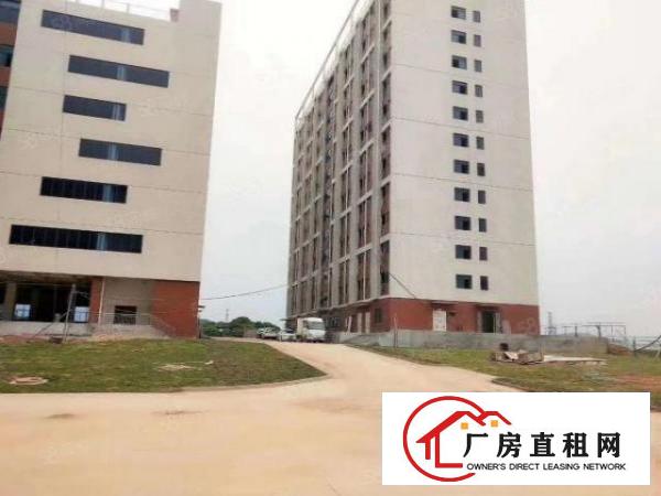  新出独门独院园区，面积50000，租金16，可谈