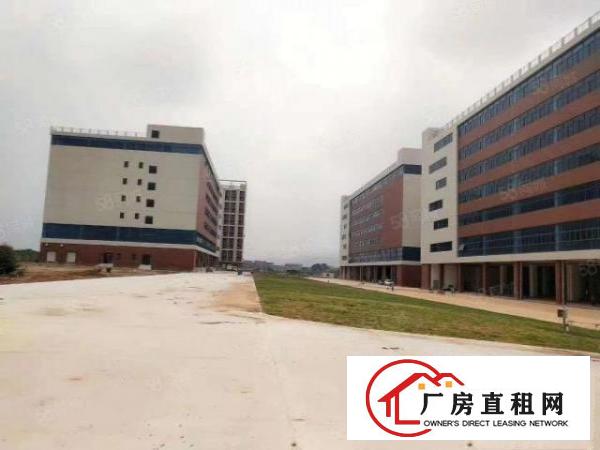  新出独门独院园区，面积50000，租金16，可谈