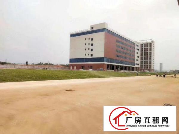  新出独门独院园区，面积50000，租金16，可谈