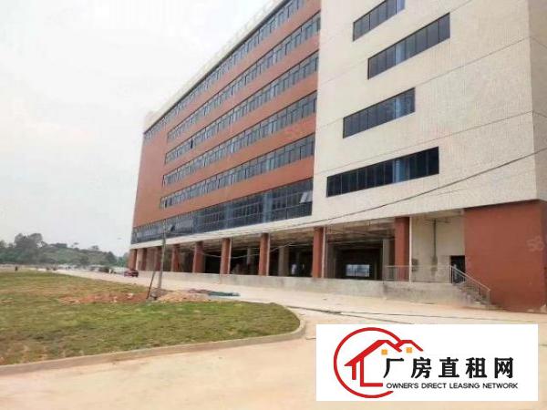  新出独门独院园区，面积50000，租金16，可谈