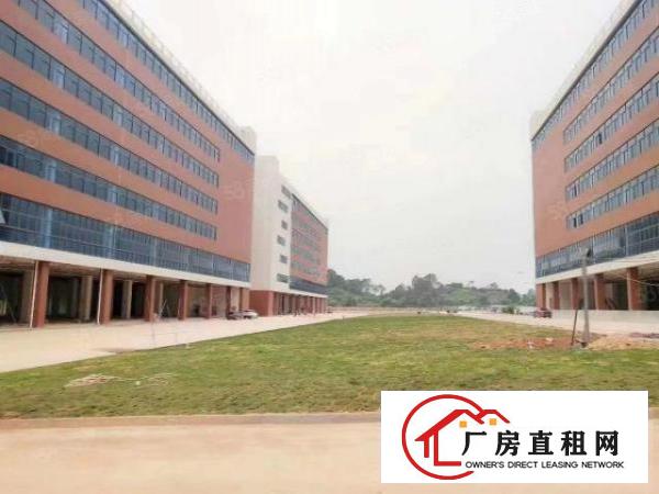  新出独门独院园区，面积50000，租金16，可谈