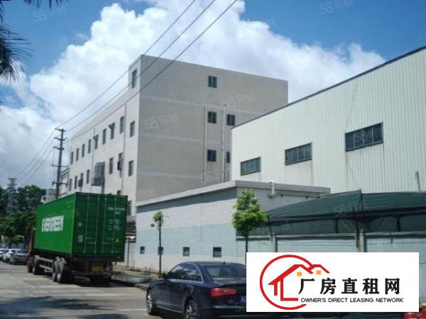  望牛墩新出独门独院单一层厂房6000方，空地大，交通方便