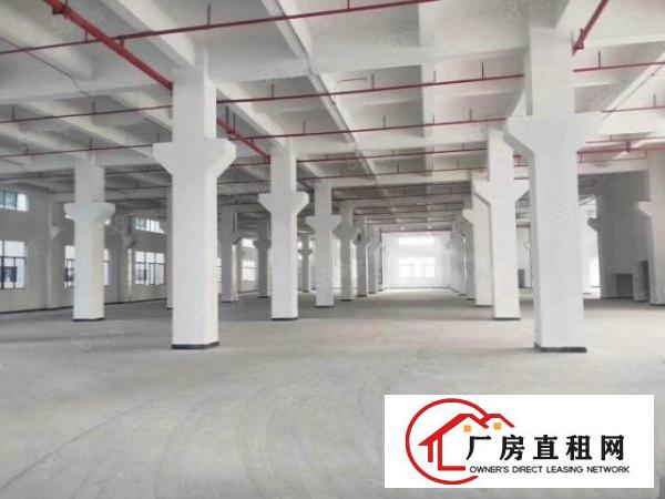  东莞市政府打造高新产业园