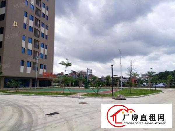  望牛墩重工业全新厂房有红本，有牛角丙类消防