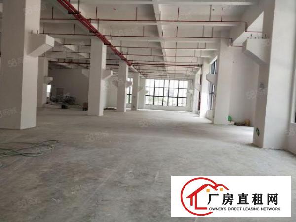  望牛墩重工业全新厂房有红本，有牛角丙类消防