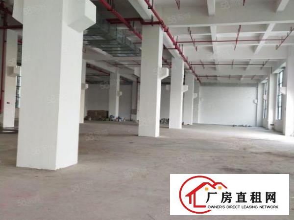  望牛墩重工业全新厂房有红本，有牛角丙类消防