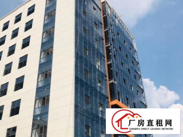  推进粤港澳大湾区新建重点项目