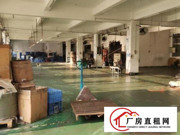  望牛墩原房东厂房一栋三层3000平，